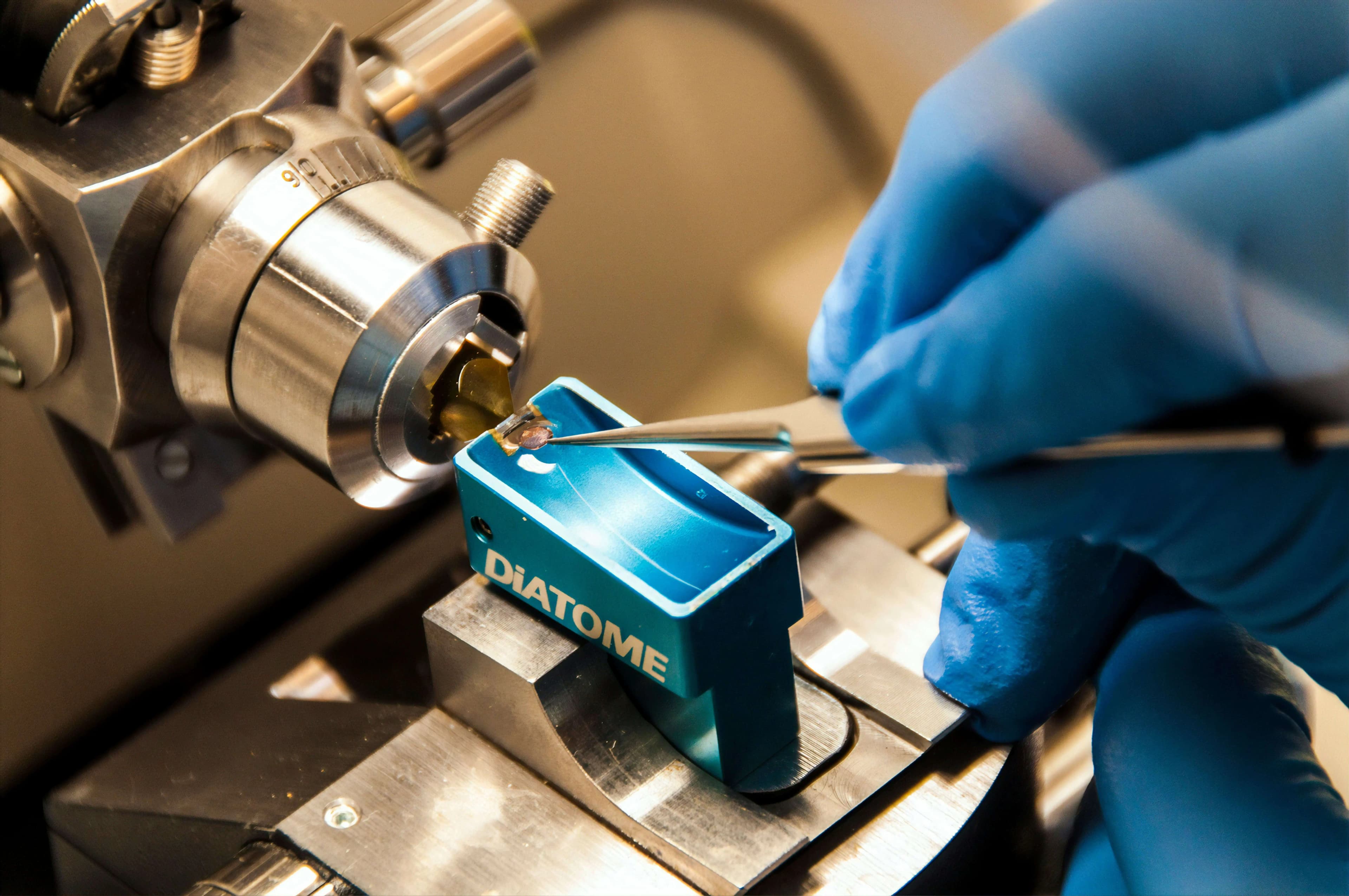 Excelmed Medical Diagnostics Services